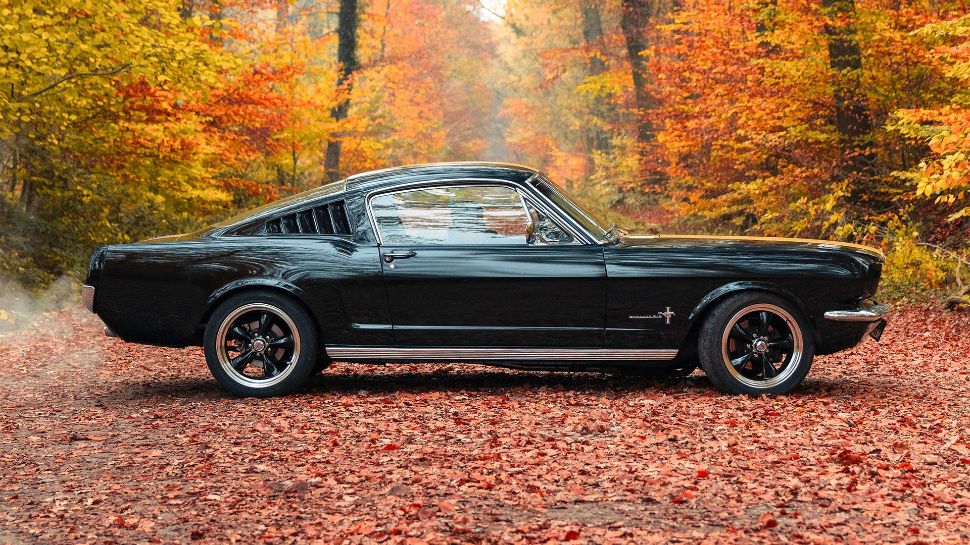 1966er Mustang Fastback mieten Hamburg (8 Std.)