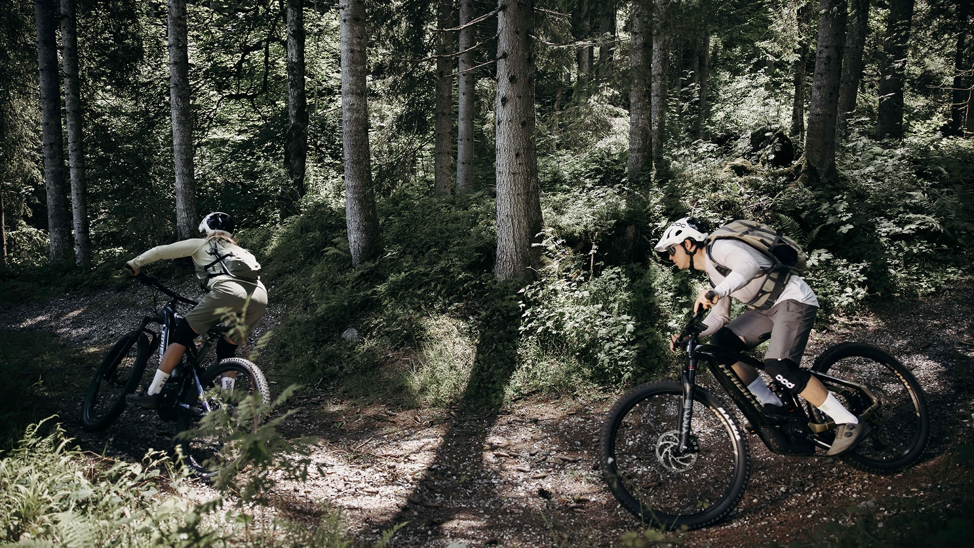 Aktivurlaub mit Hund in Flachau für 2 (1 Nacht)