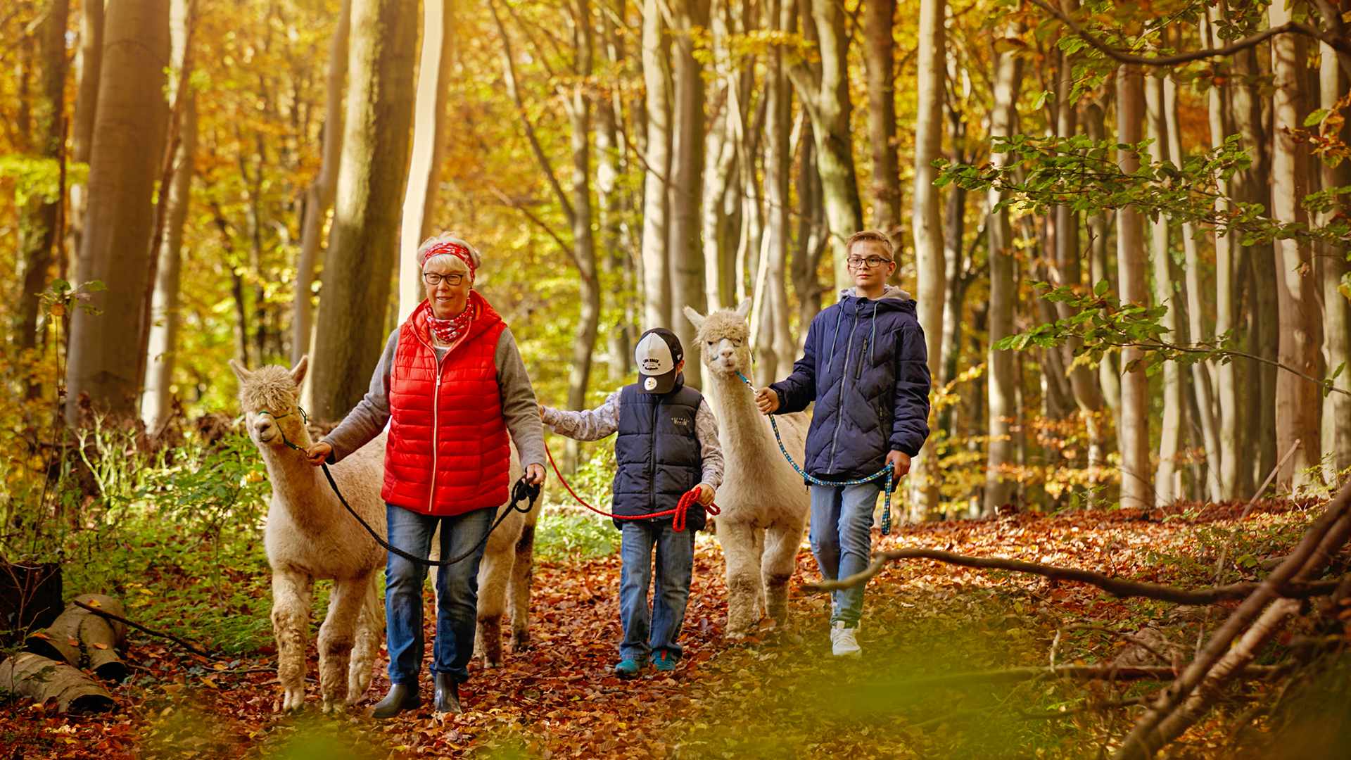 Alpaka Wanderung Bruchhausen für 2