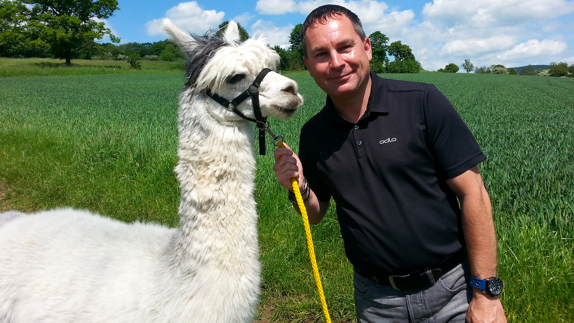 Alpaka Wanderung Kraichtal (1