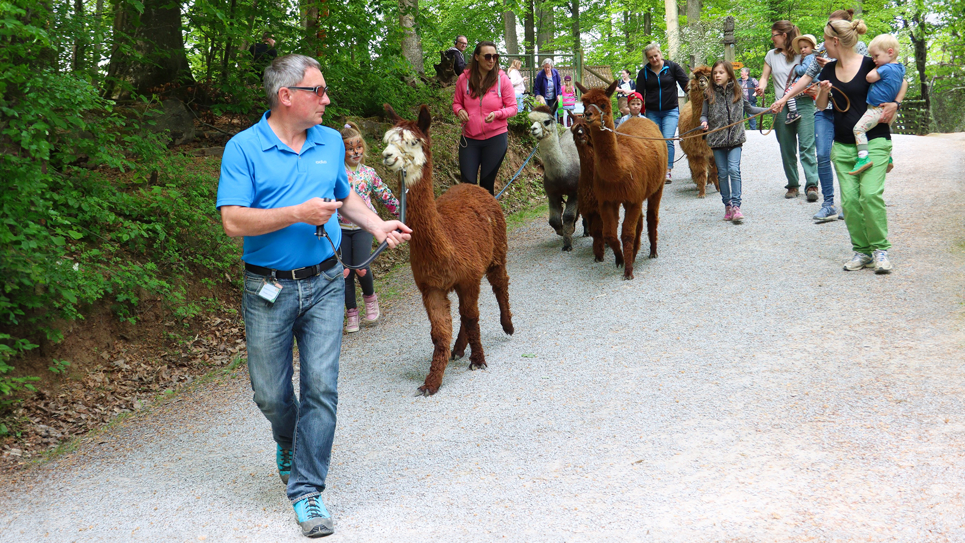 Alpaka Wanderung Kraichtal für 2 (3 Std.)