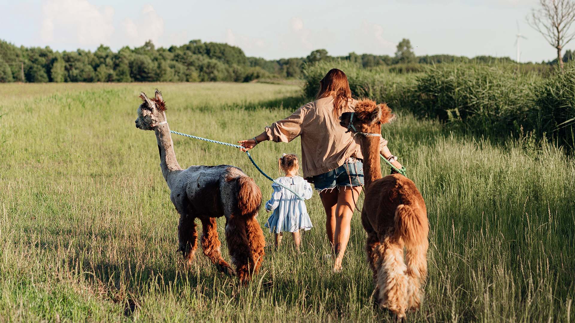 Alpaka Wanderung für 2