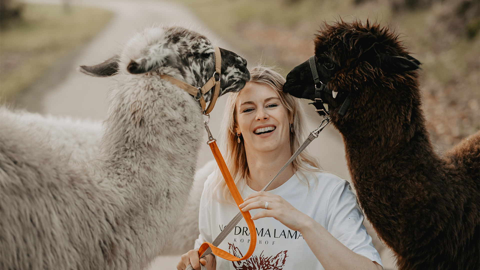 Alpaka Wanderung in der Eifel