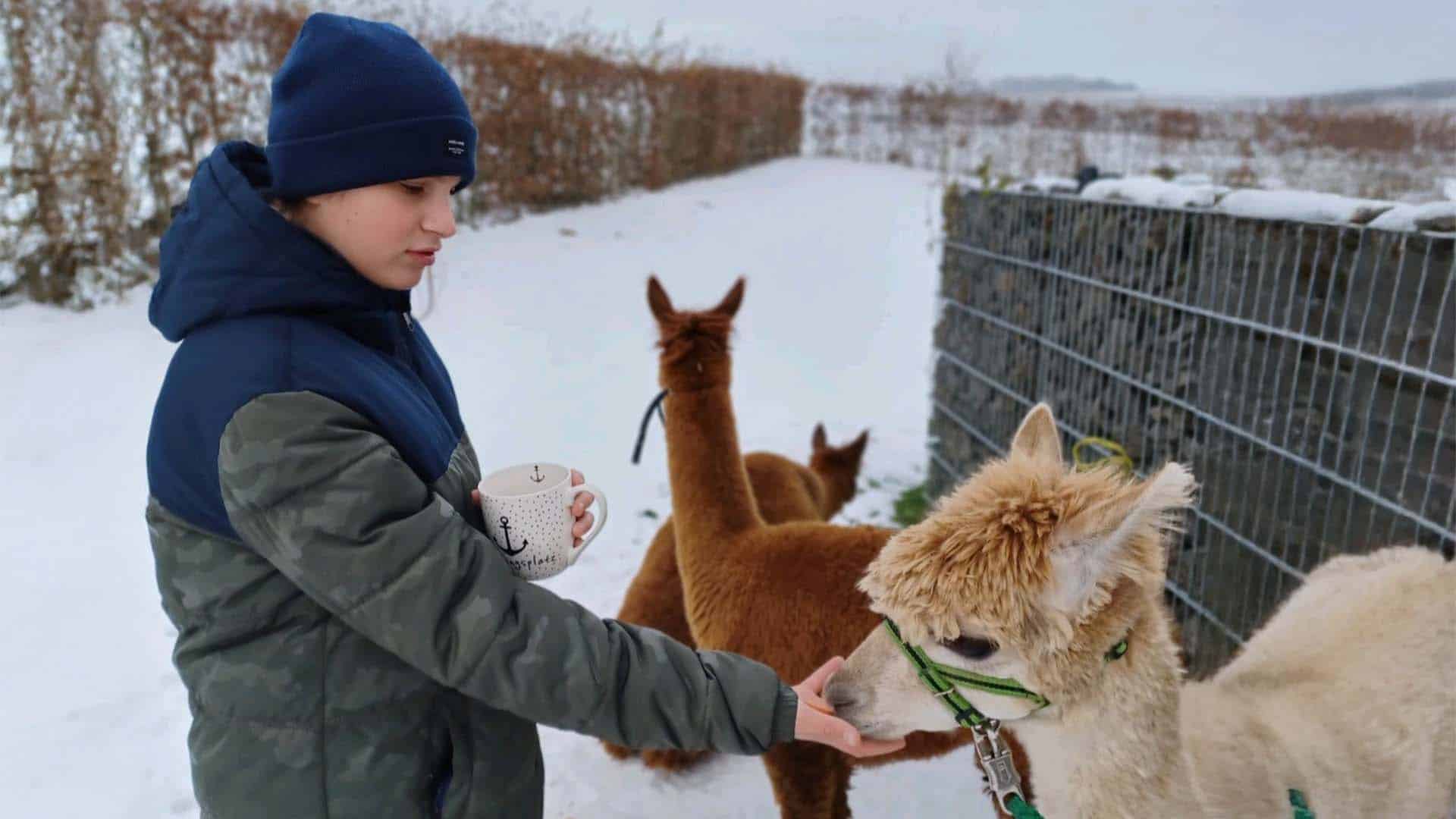 Alpakaerlebnis für Kinder Plütscheid