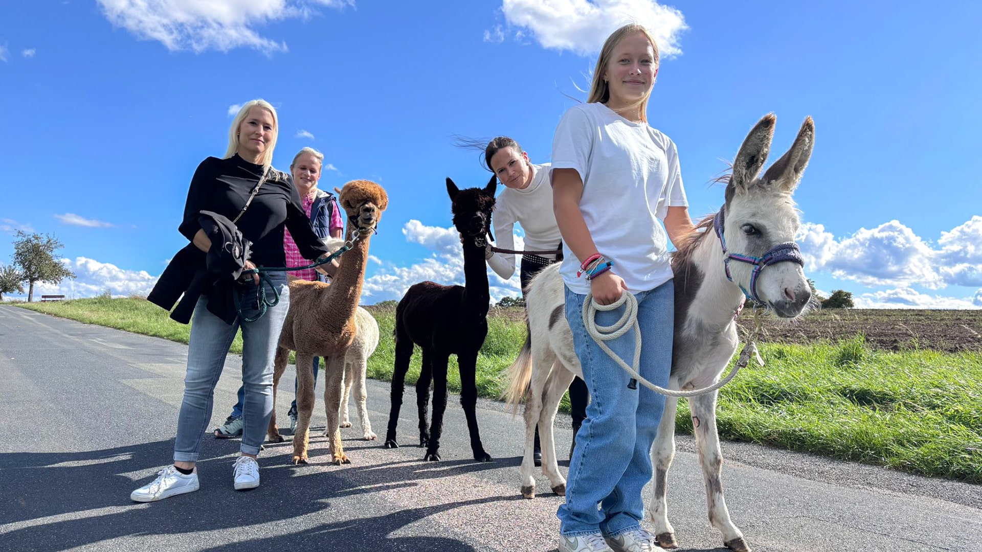 Alpakawanderung Langenfeld