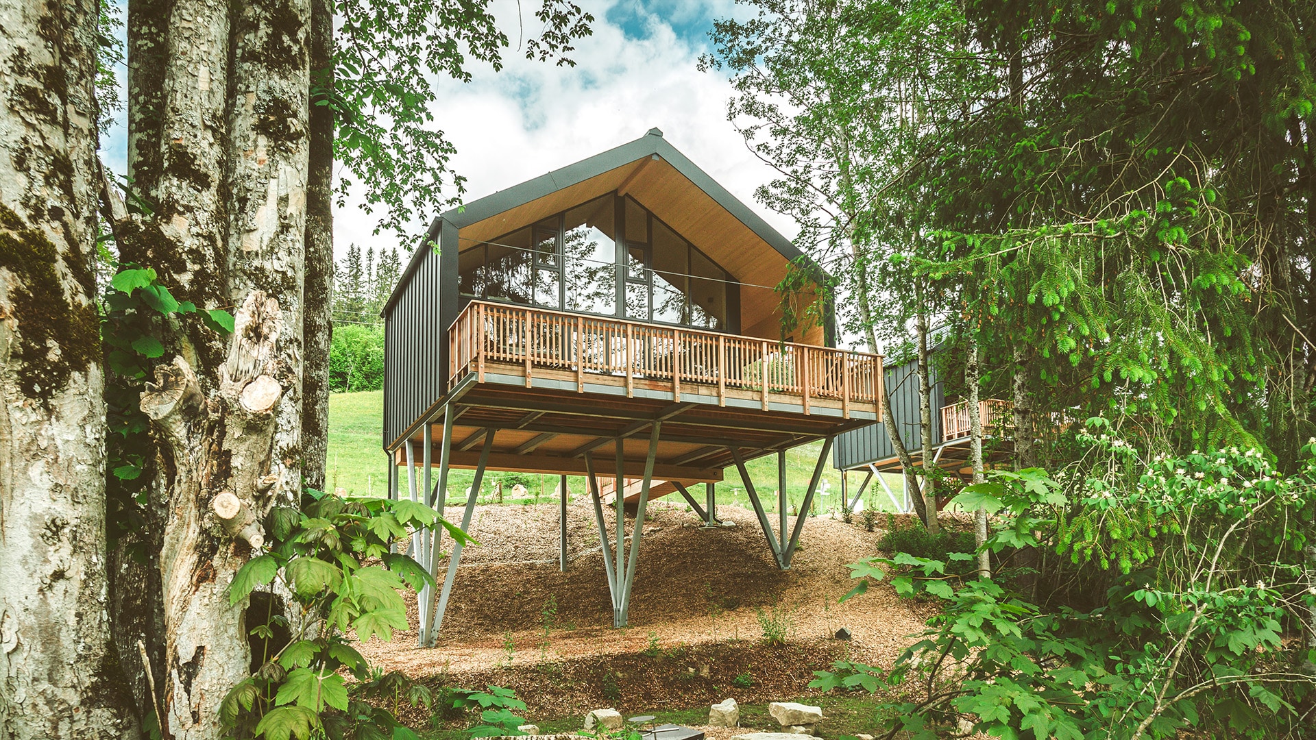 Außergewöhnlich Übernachten im Baumchalet für 2 (2 Nächte)