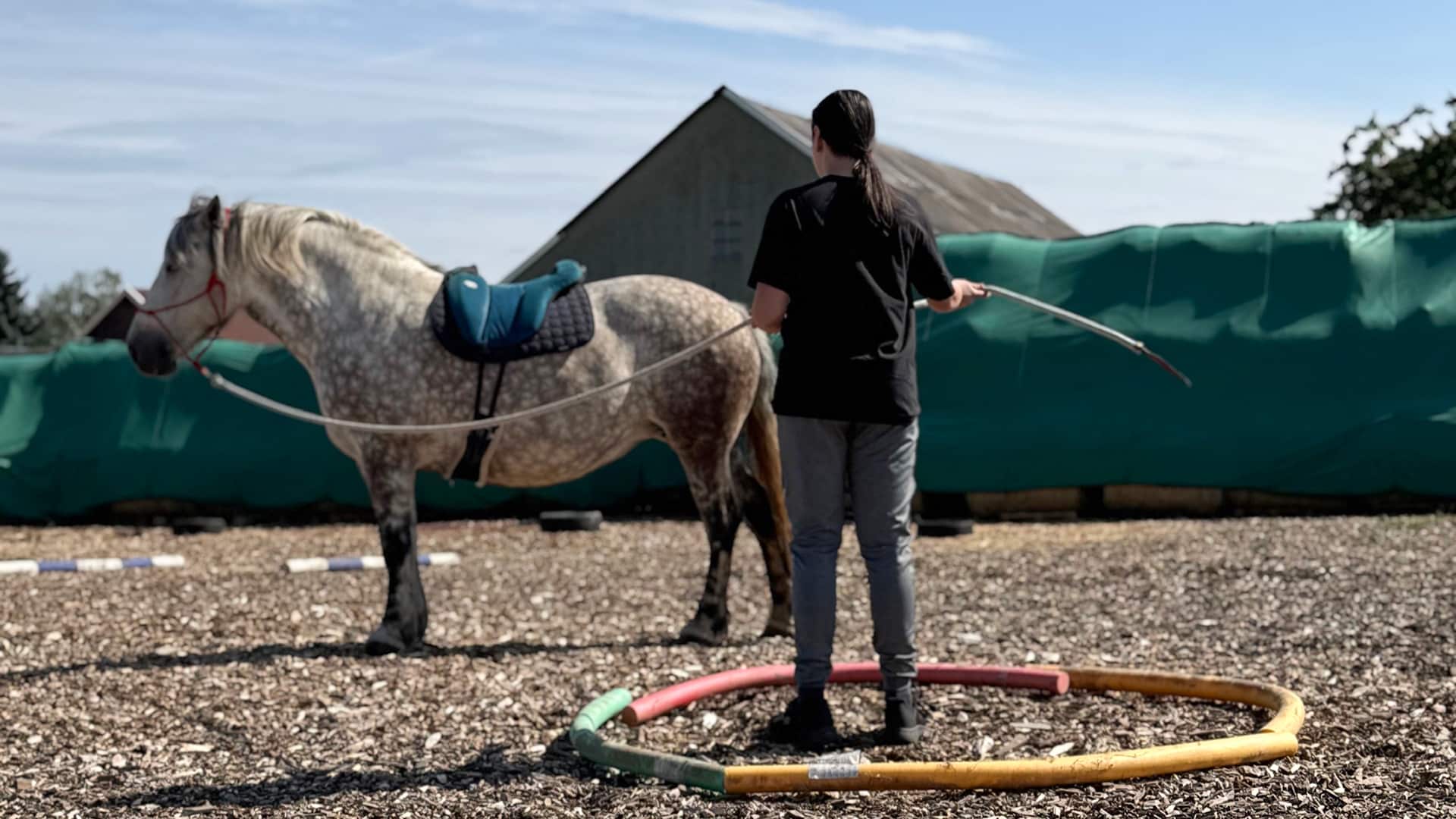 Coaching mit Pferden Grumbach