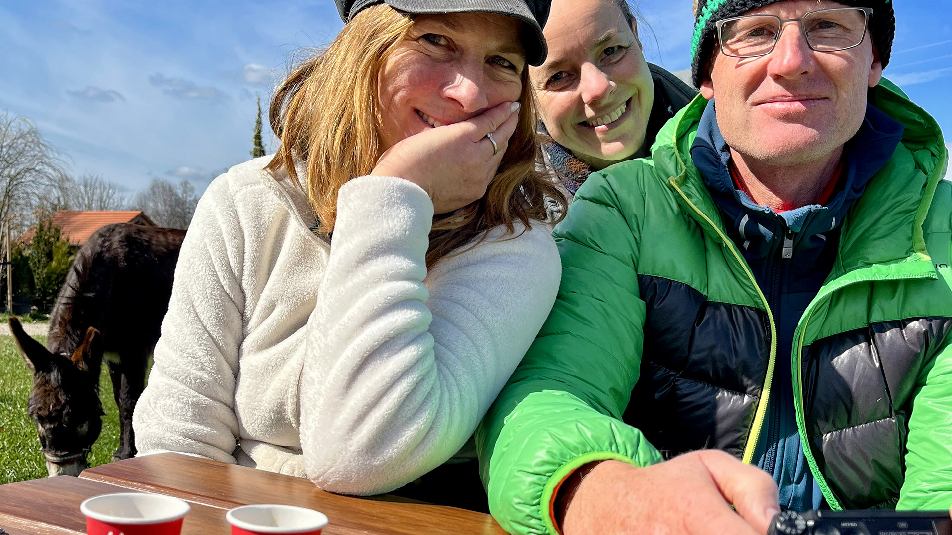 Esel Picknick für 2 Fichtenau