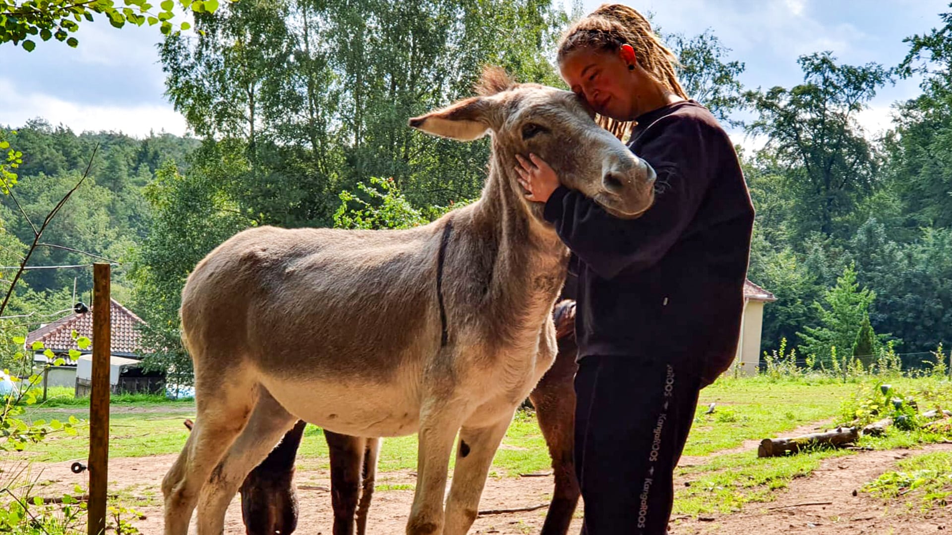 Eselwanderung Eppenbrunn (2 Std.)