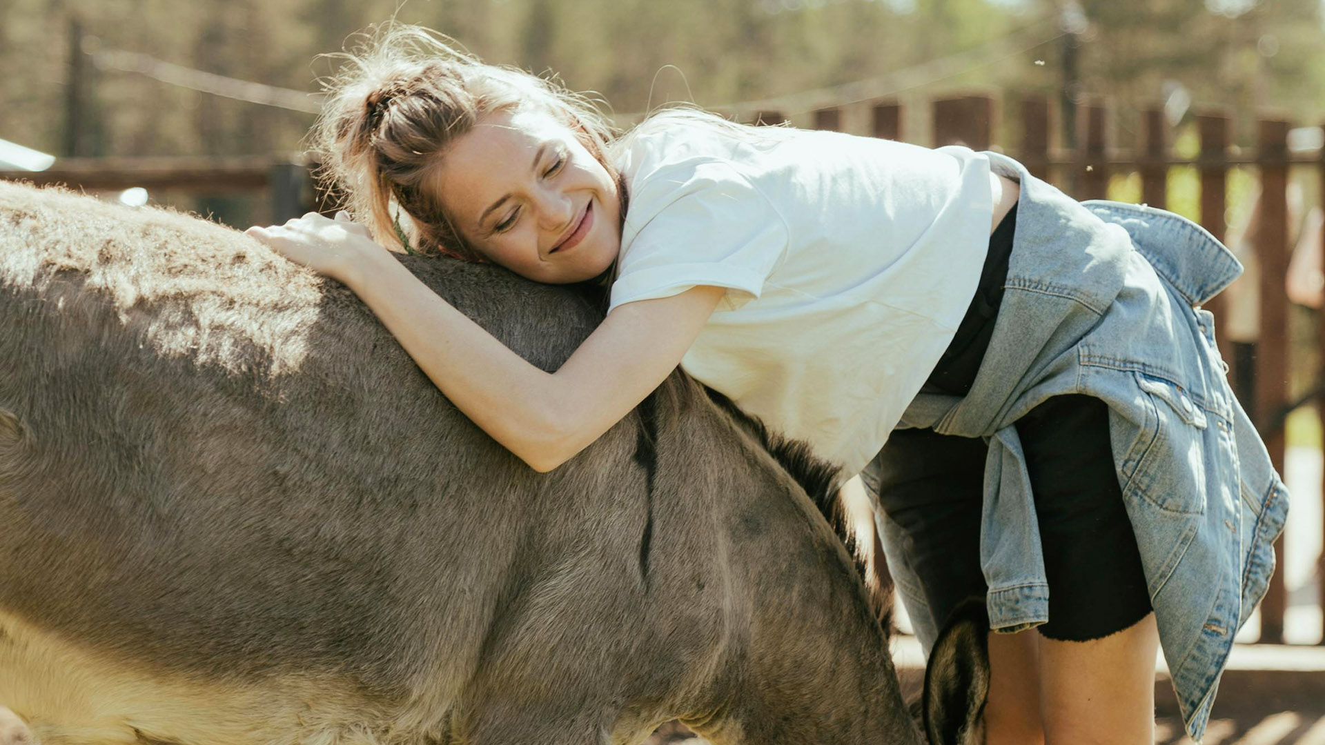Eselwanderung für 2 Barth