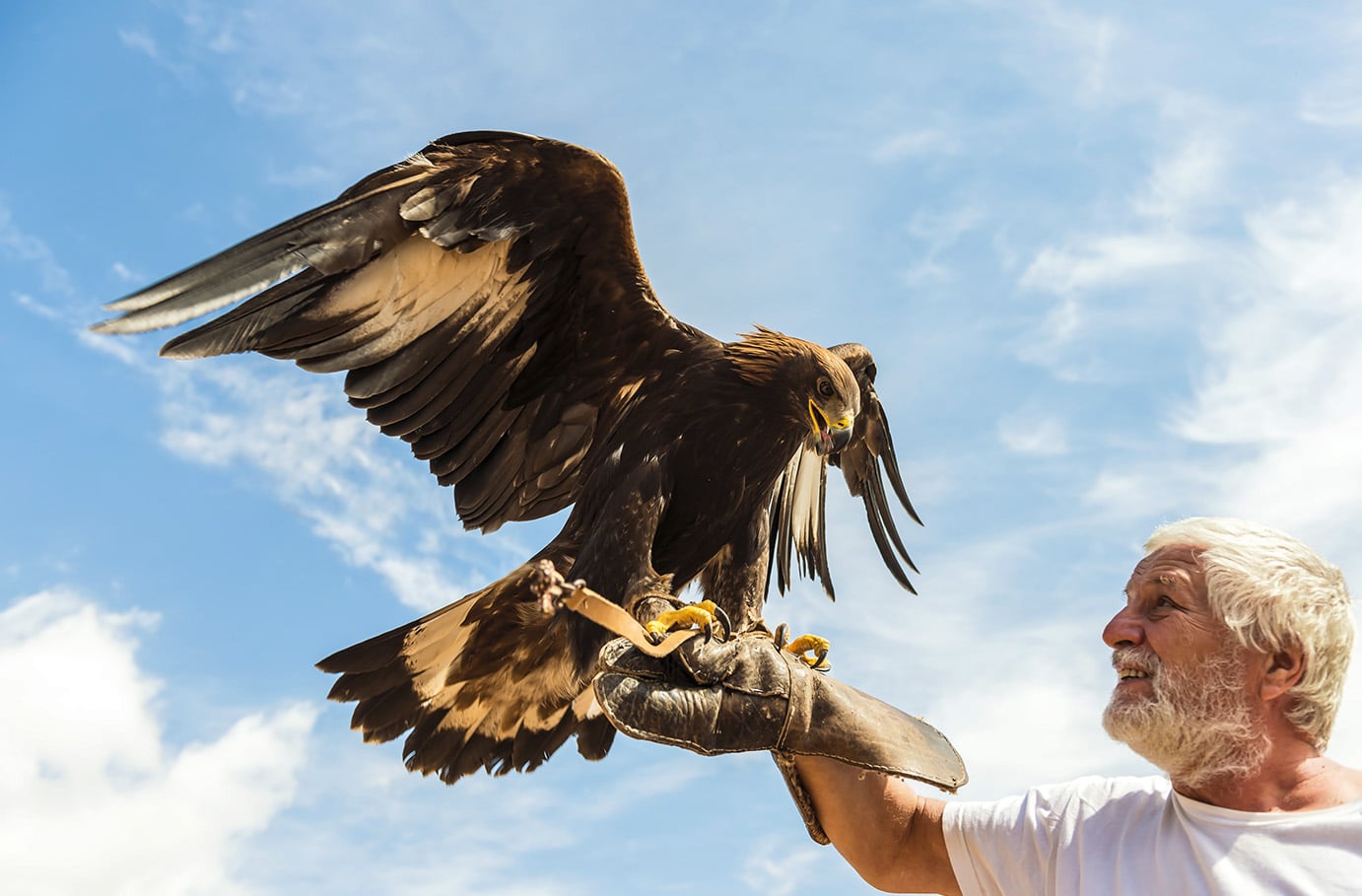 Falkner für einen Tag Riedenburg