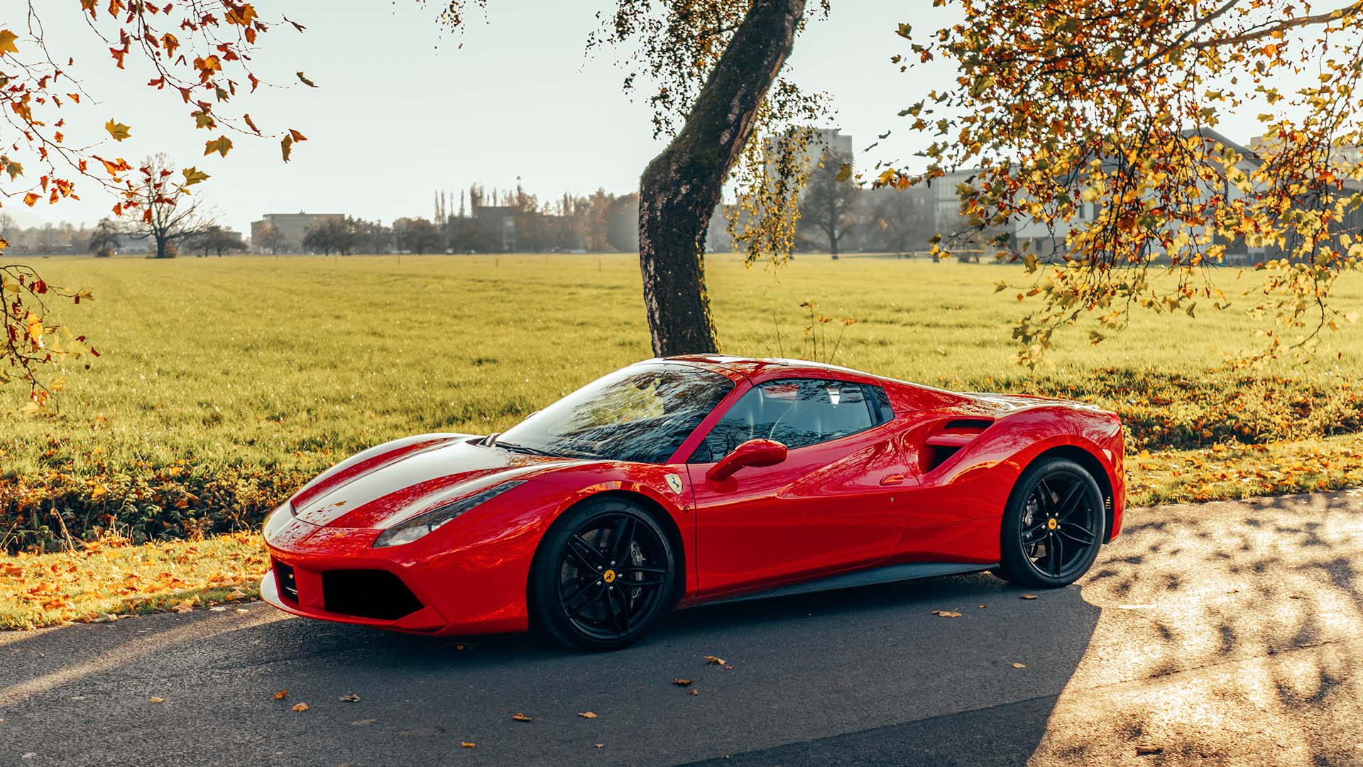 Ferrari fahren (12 Std.)