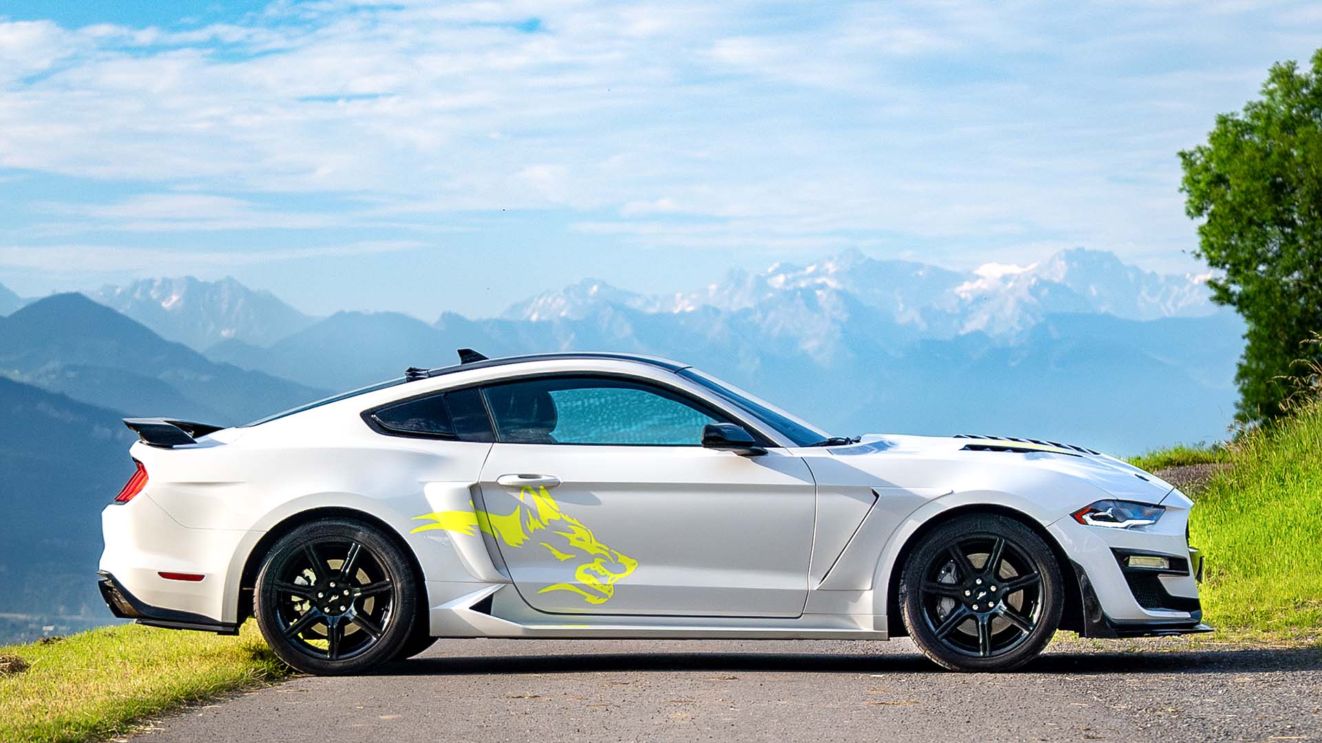 Ford Mustang Shelby mieten Amtzell (1 Tag)