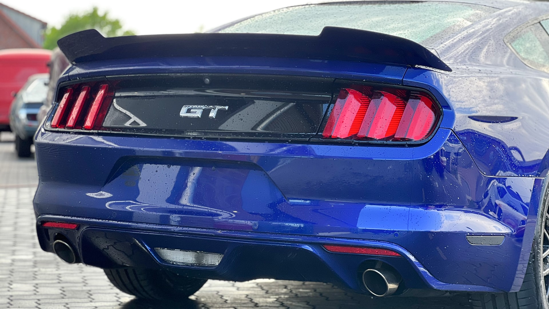 Ford Mustang Tagestour Wismar