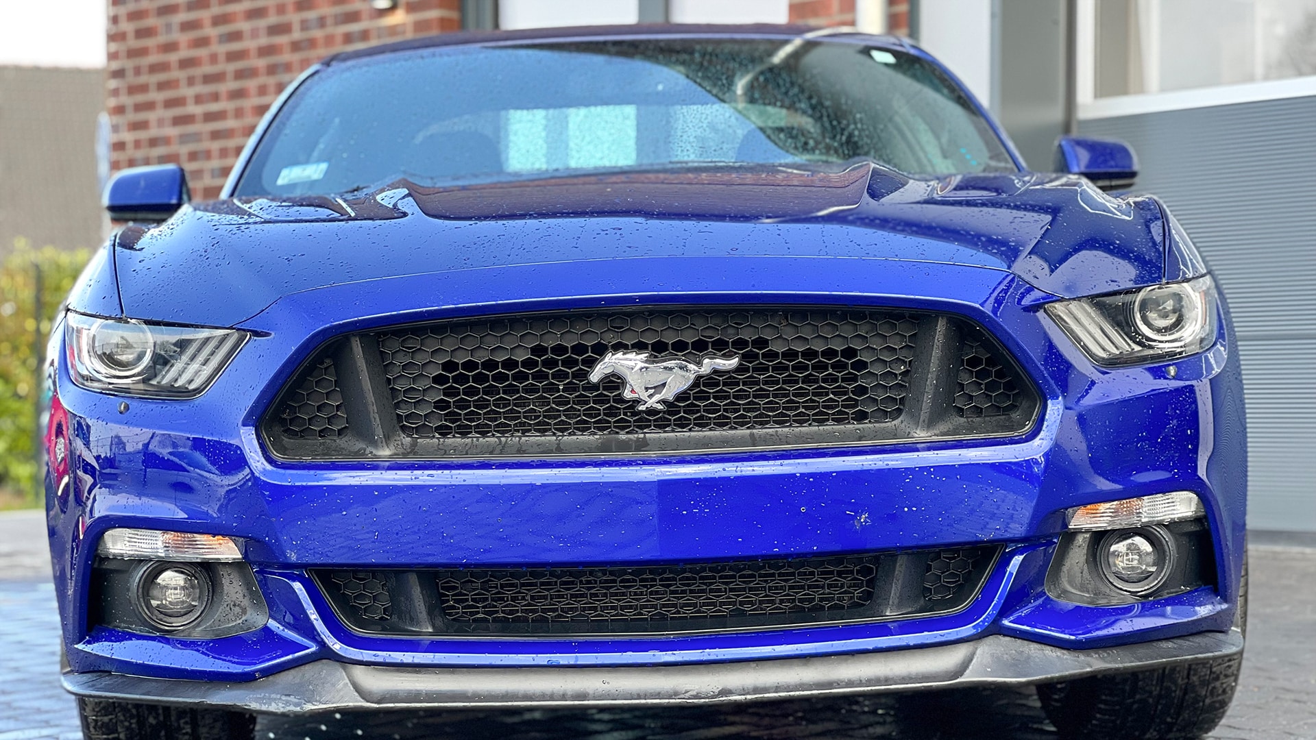 Ford Mustang fahren Wismar (7 Std.)