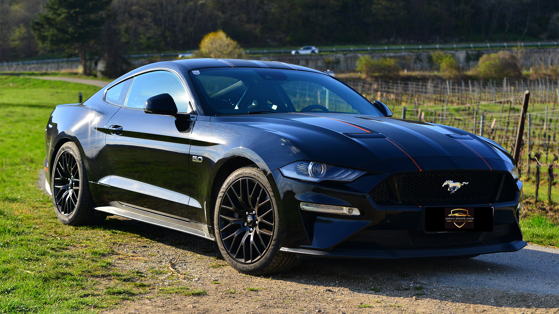 Ford Mustang fahren bei Wien (4 Std.)