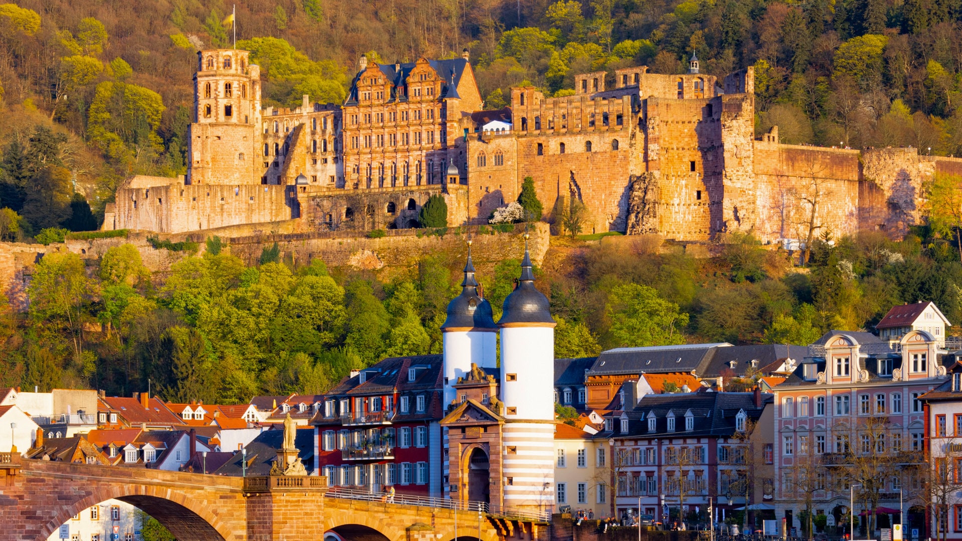 Foto Walk Heidelberg (Sunset)