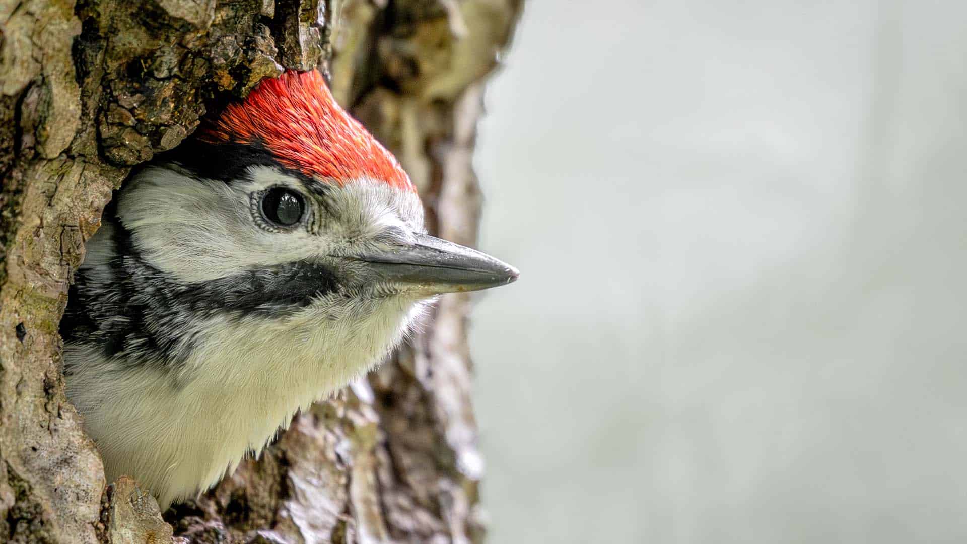 Fotografie Kurs Landsberg am Lech