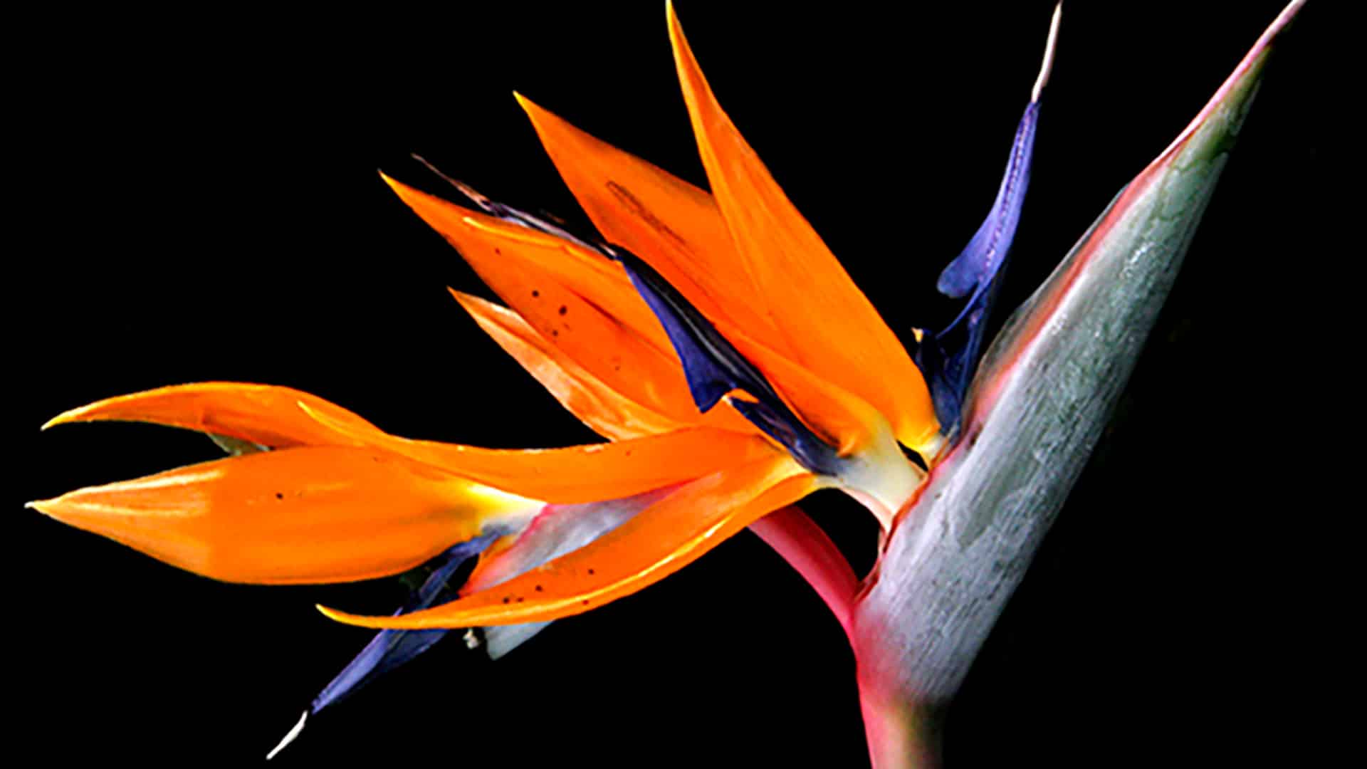 Fotokurs Düsseldorf (Einzelcoaching)