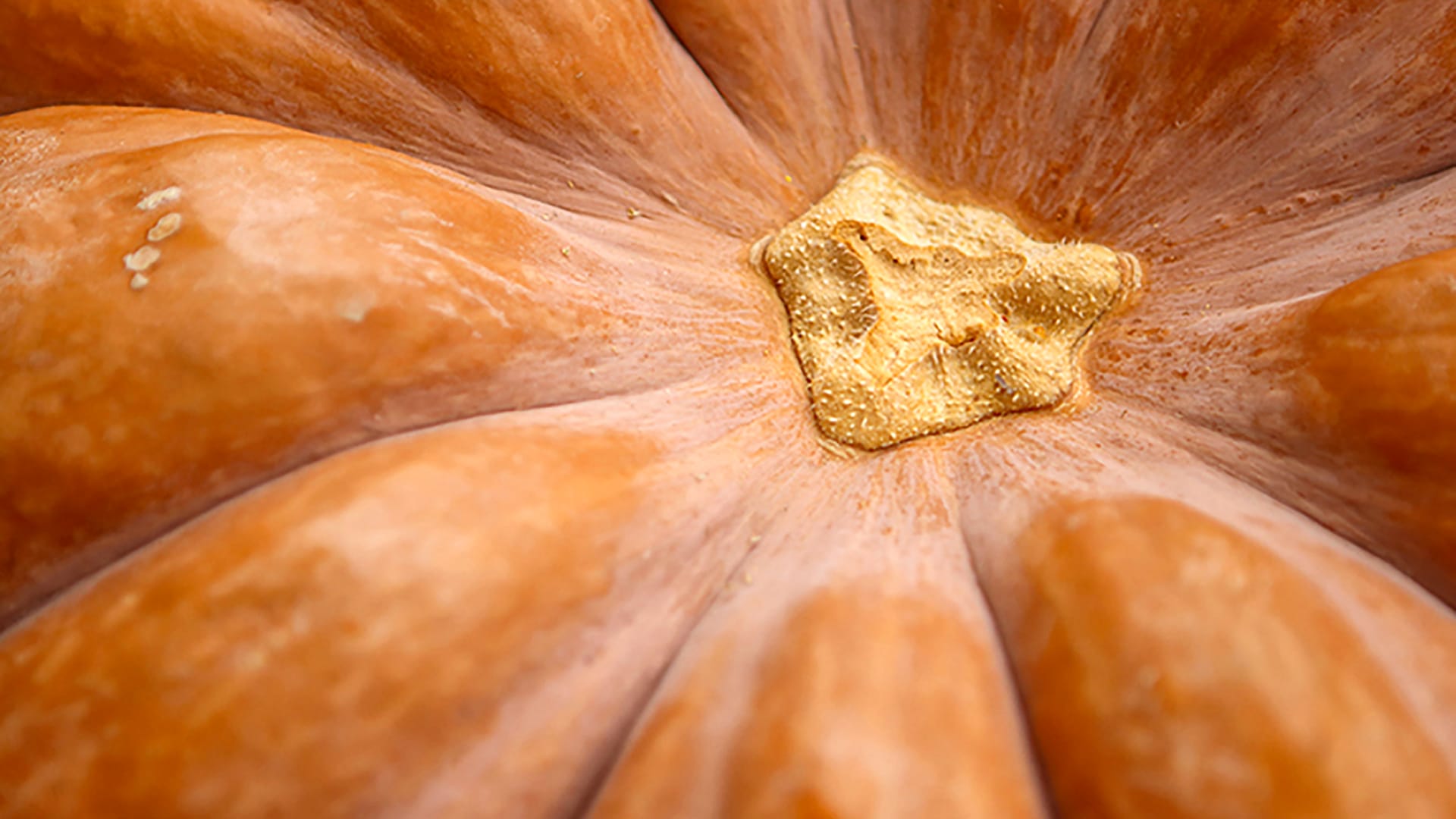 Fotokurs Hamburg (Einzelcoaching)