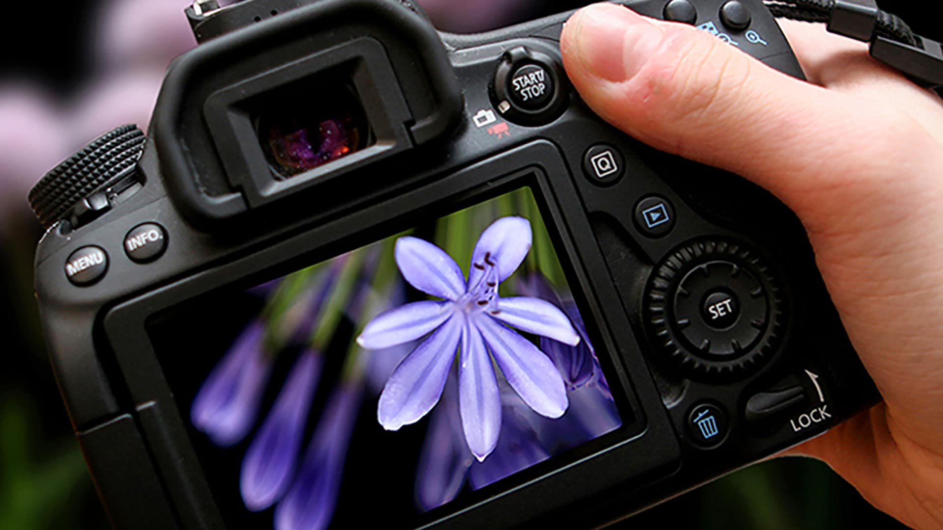 Fotokurs Köln (Einzelcoaching)