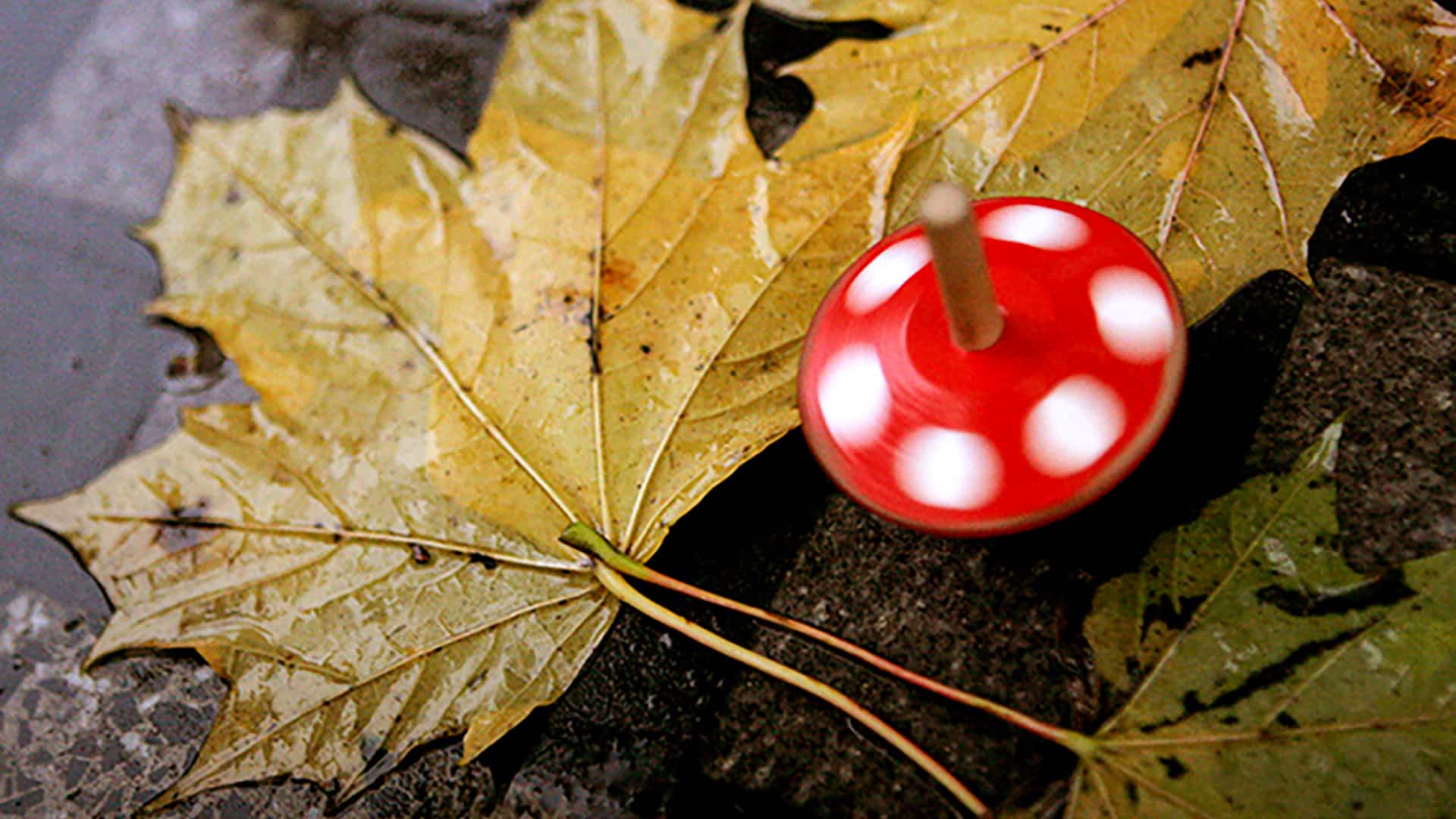 Fotokurs Prag (Einzelcoaching)