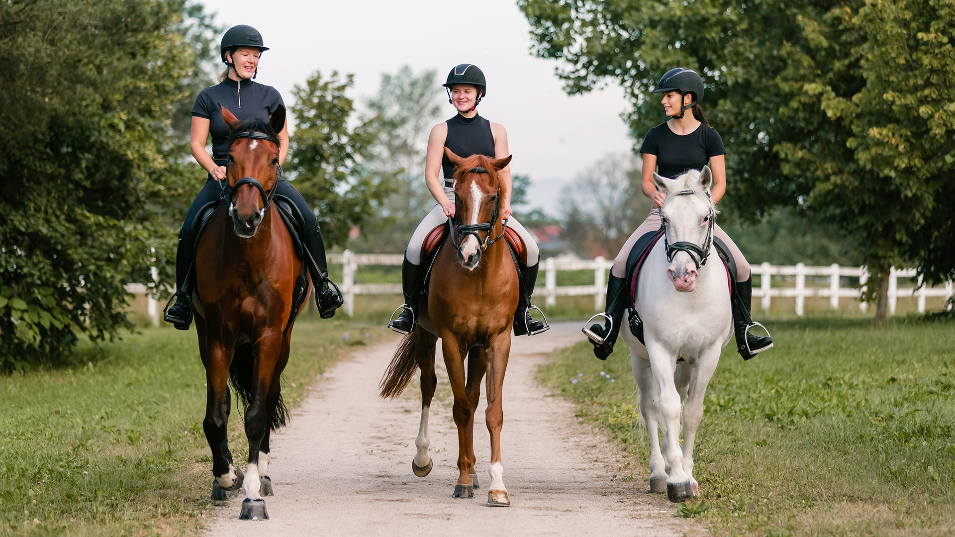 Geführter Ausritt Langenfeld