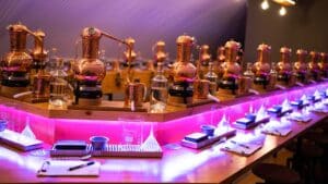 Gin Brennkurs Bonn