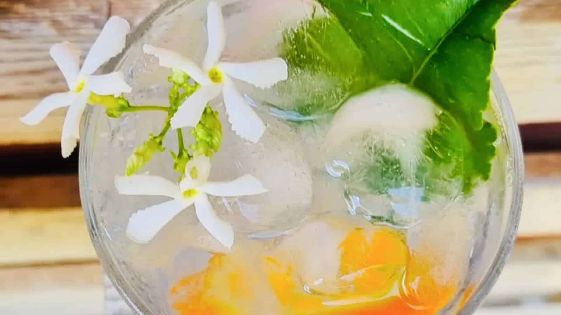 Gin Tasting Eppelheim