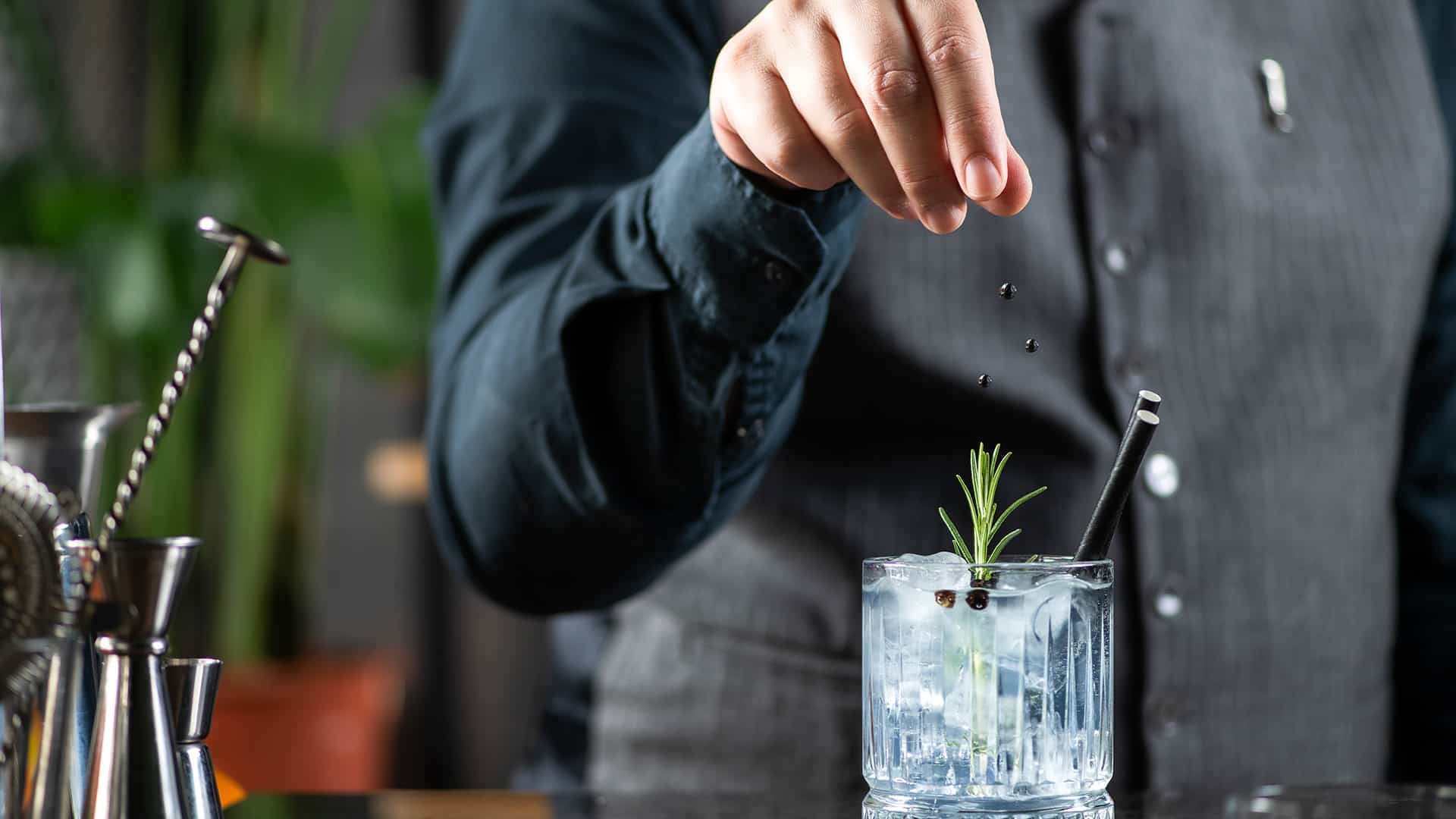 Gin Tasting Frankfurt