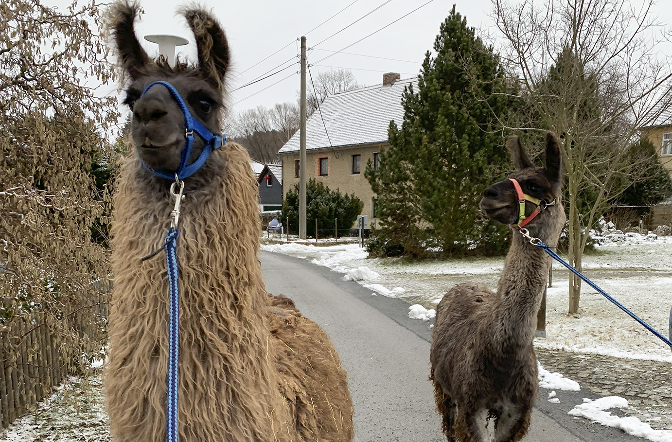 Glühweinwanderung Schönau-Berzdorf