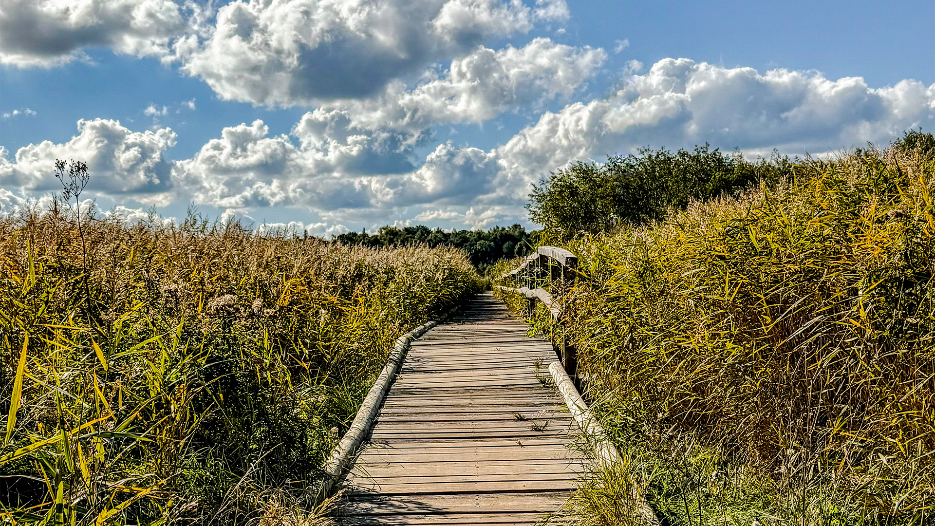 Guided Tour über die Priwallhalbinsel Lübeck