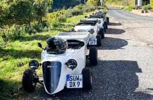 Hot Rod Tour Neustadt an der Weinstraße (2 Std.)