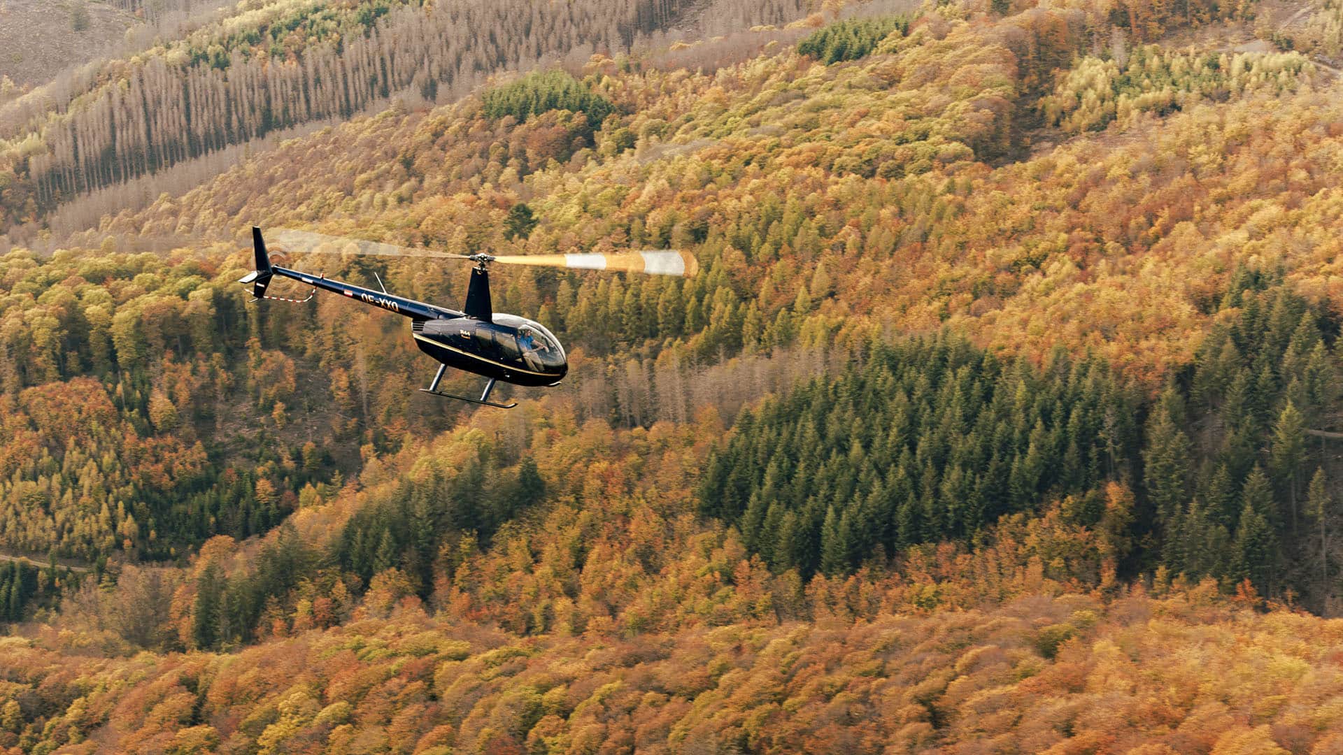 Hubschrauber Rundflug Freiburg im Breisgau (10 Min.)