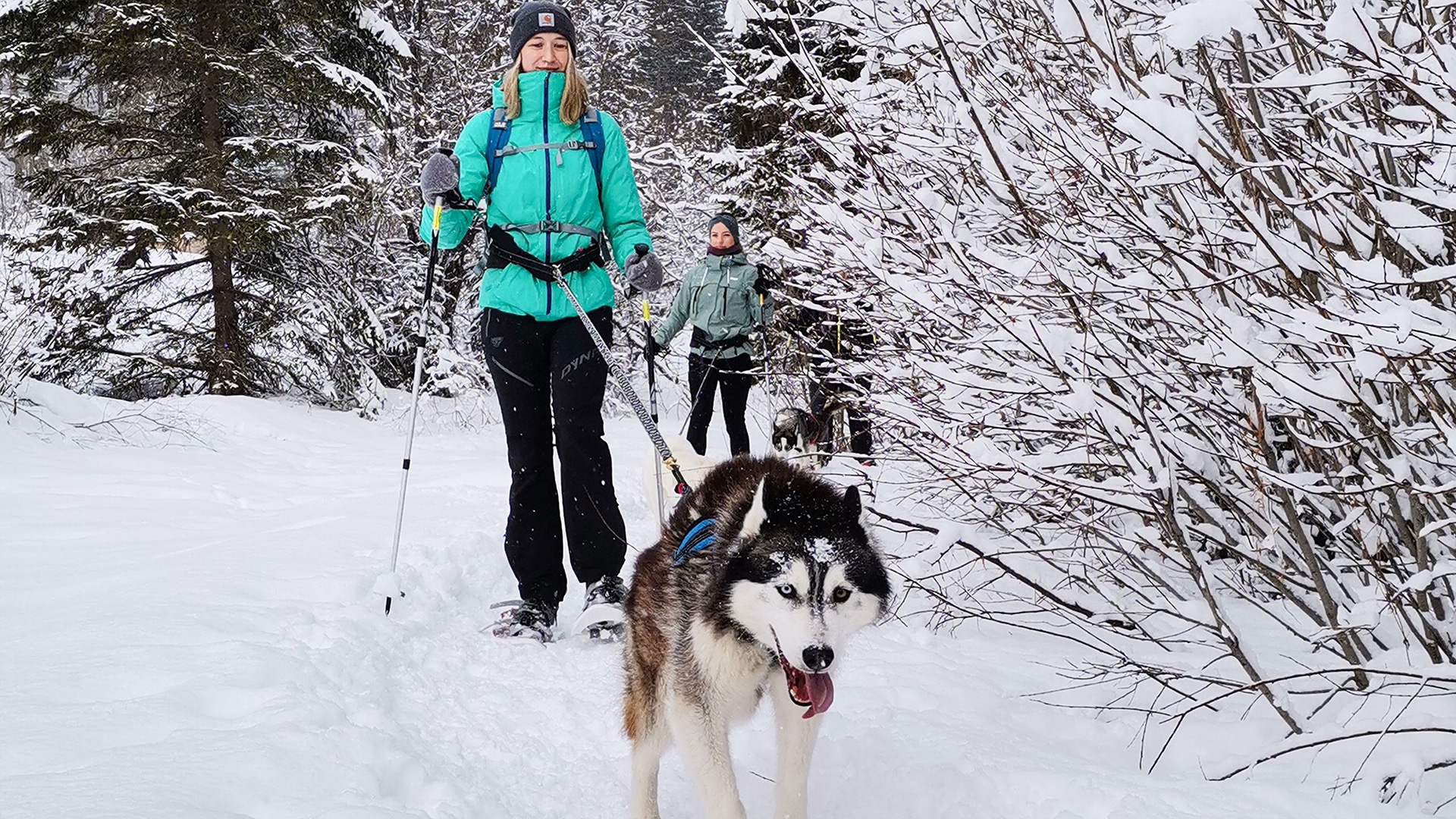 Husky Schneeschuhtrekking Hohentauern für 2