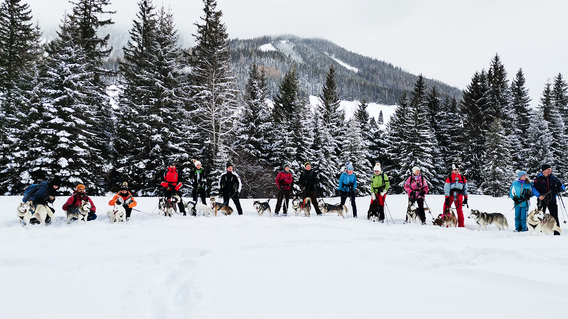 Husky Schneeschuhtrekking Hohentauern