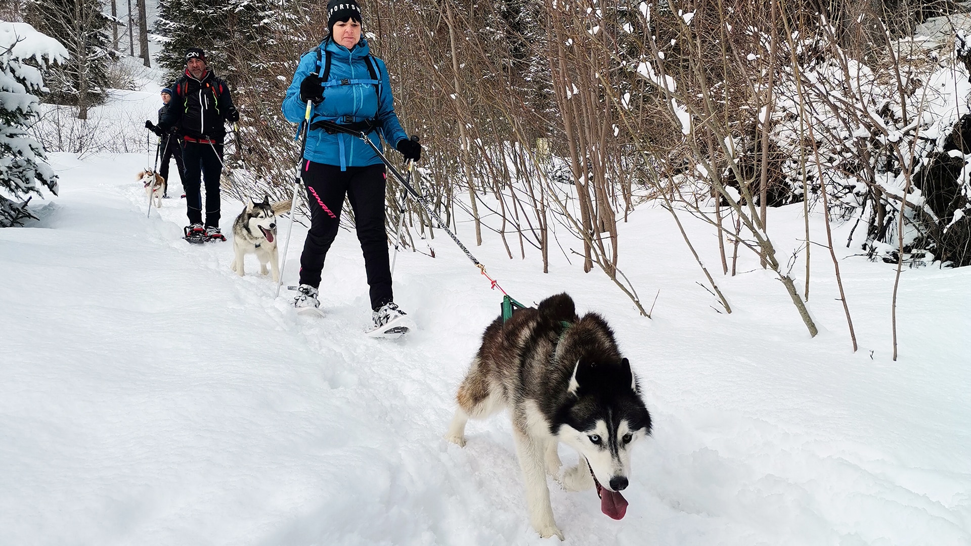 Husky Schneeschuhtrekking Postalm für 2