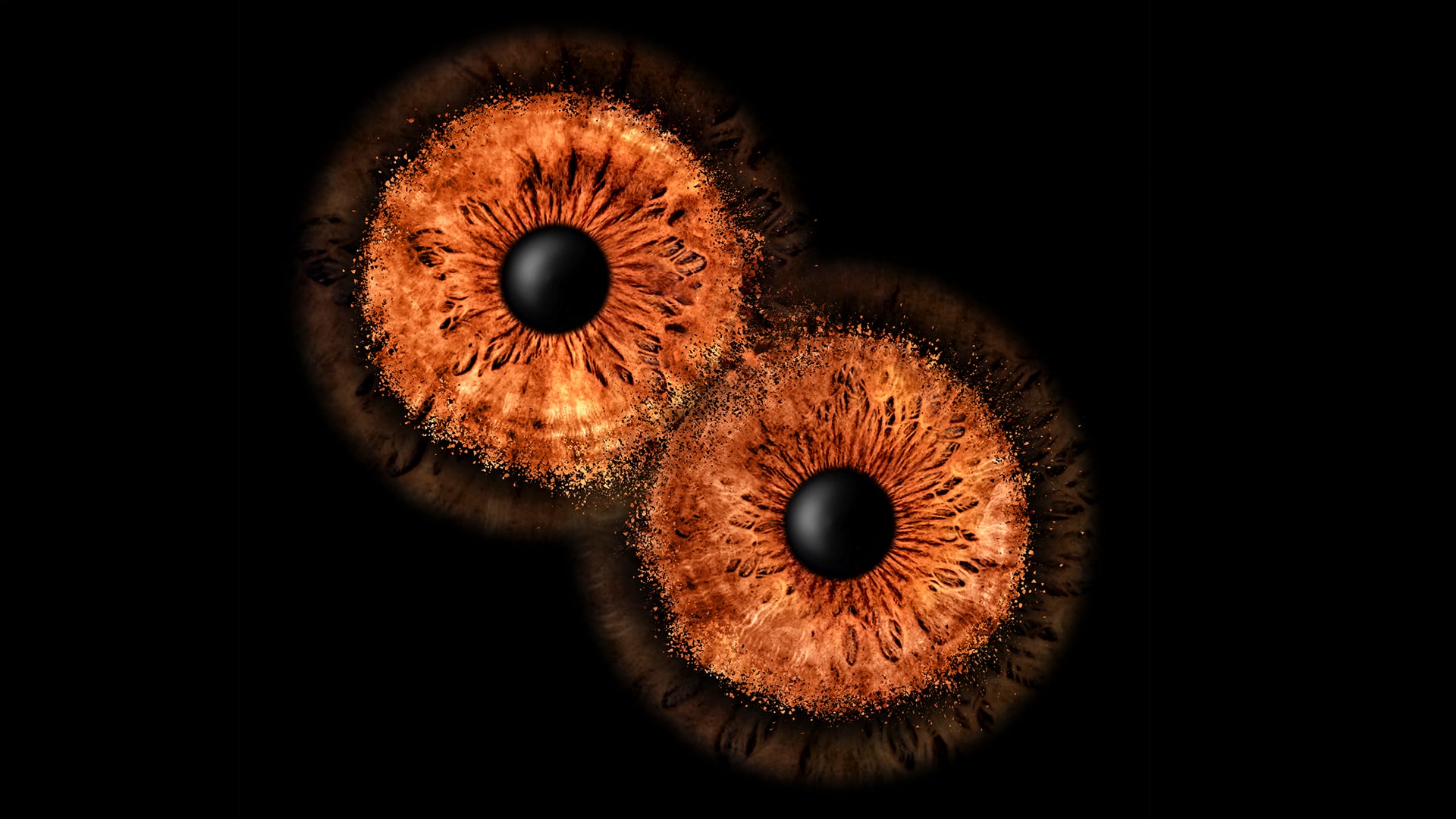 Iris Fotografie Fusion für 2 Haßfurt