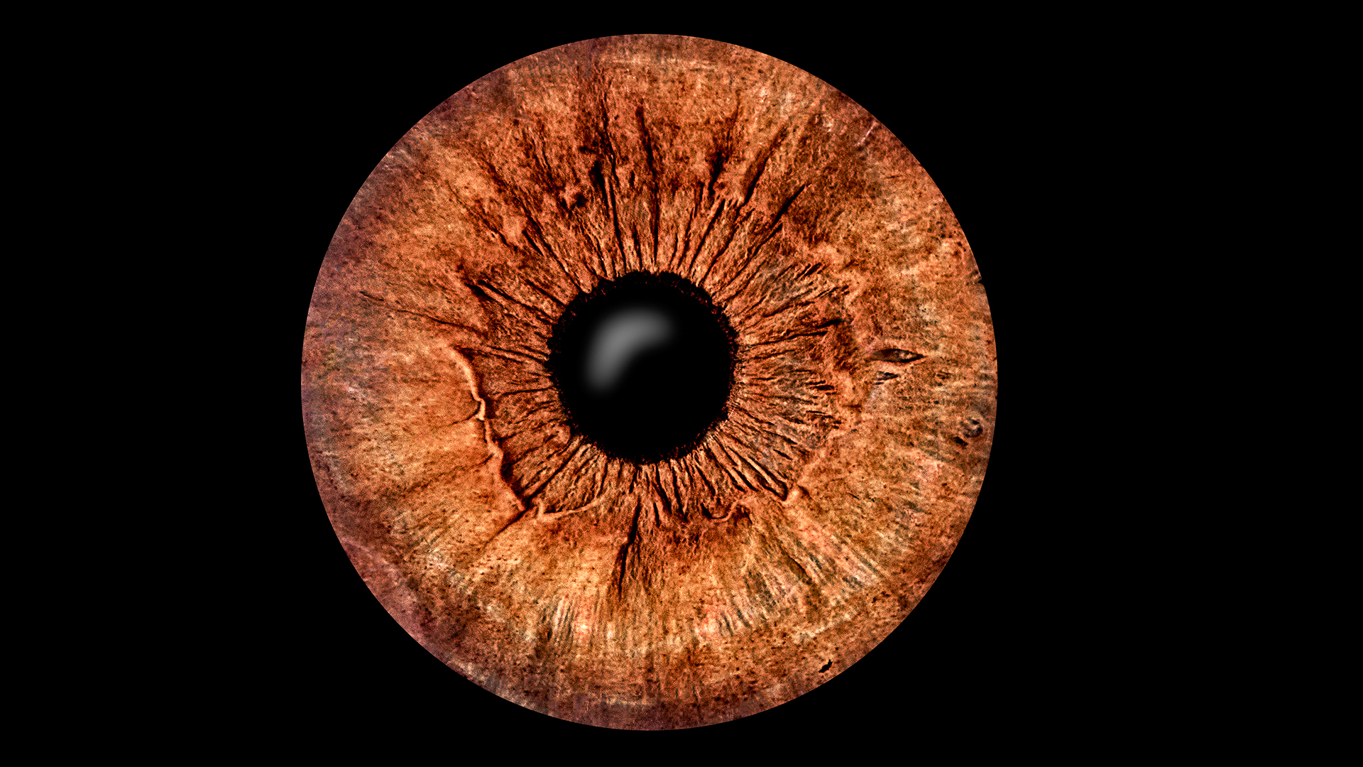 Iris Fotografie Haßfurt