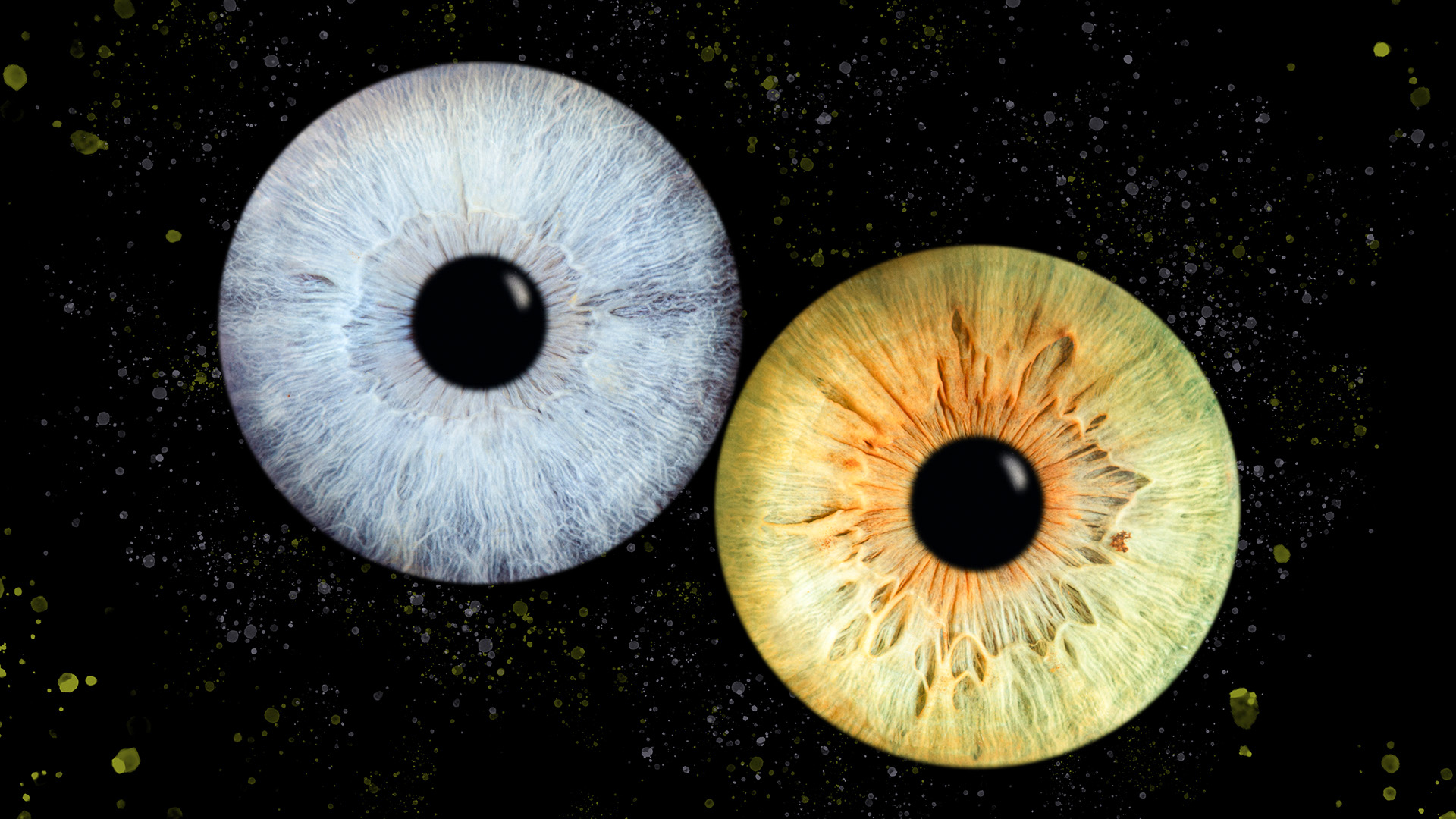 Iris Fotoshooting Compostion Haiger