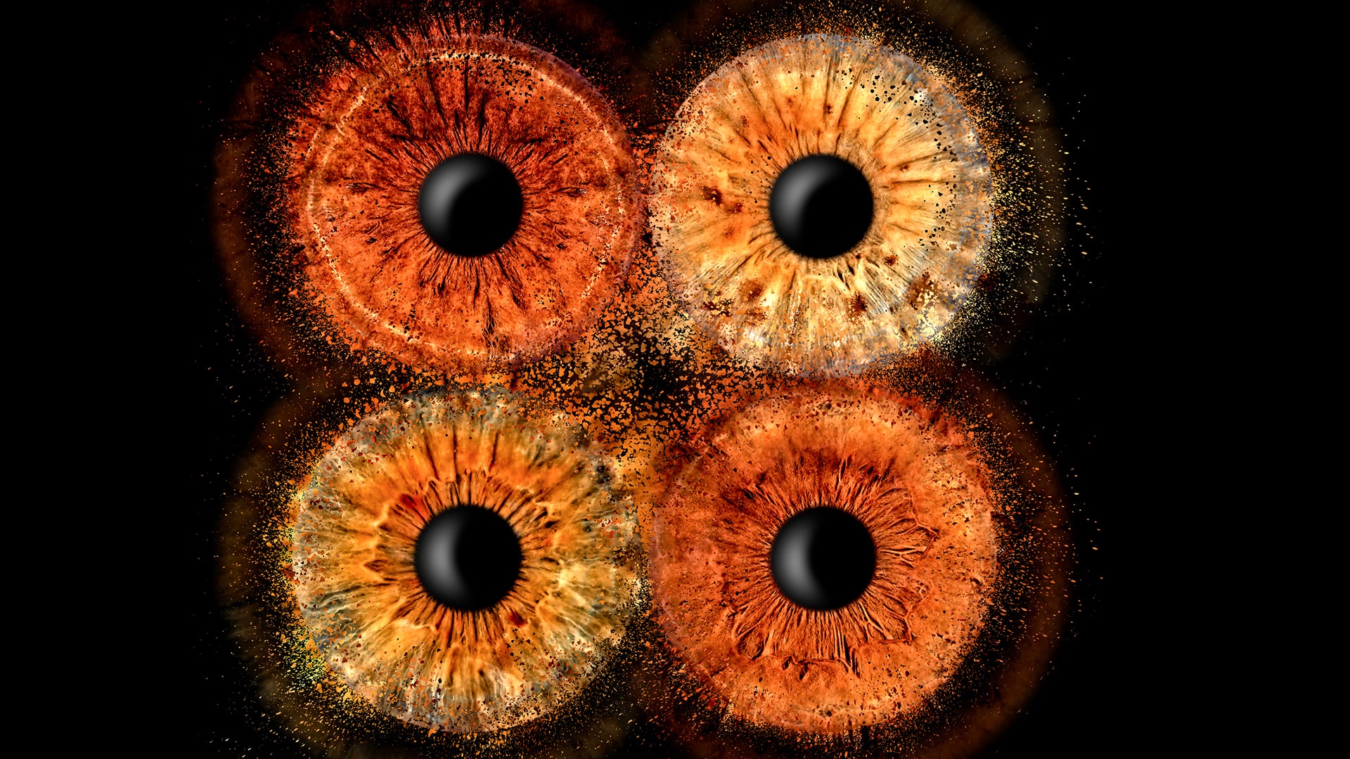 Irisfotografie Familie Haßfurt