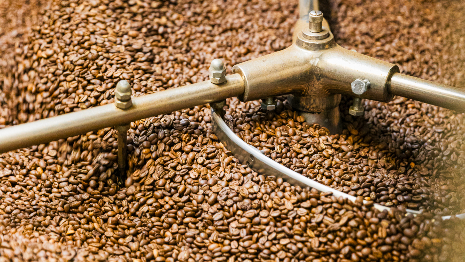 Kaffeerösterei Führung Lindau