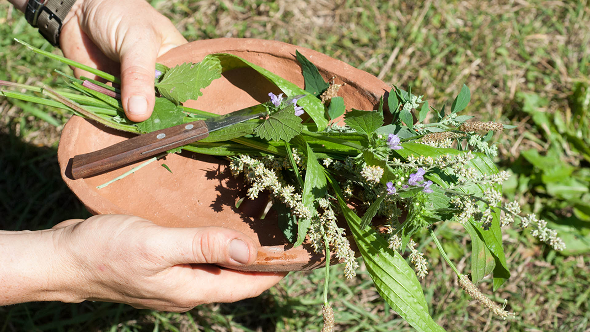 Kräuterkurs Walchow