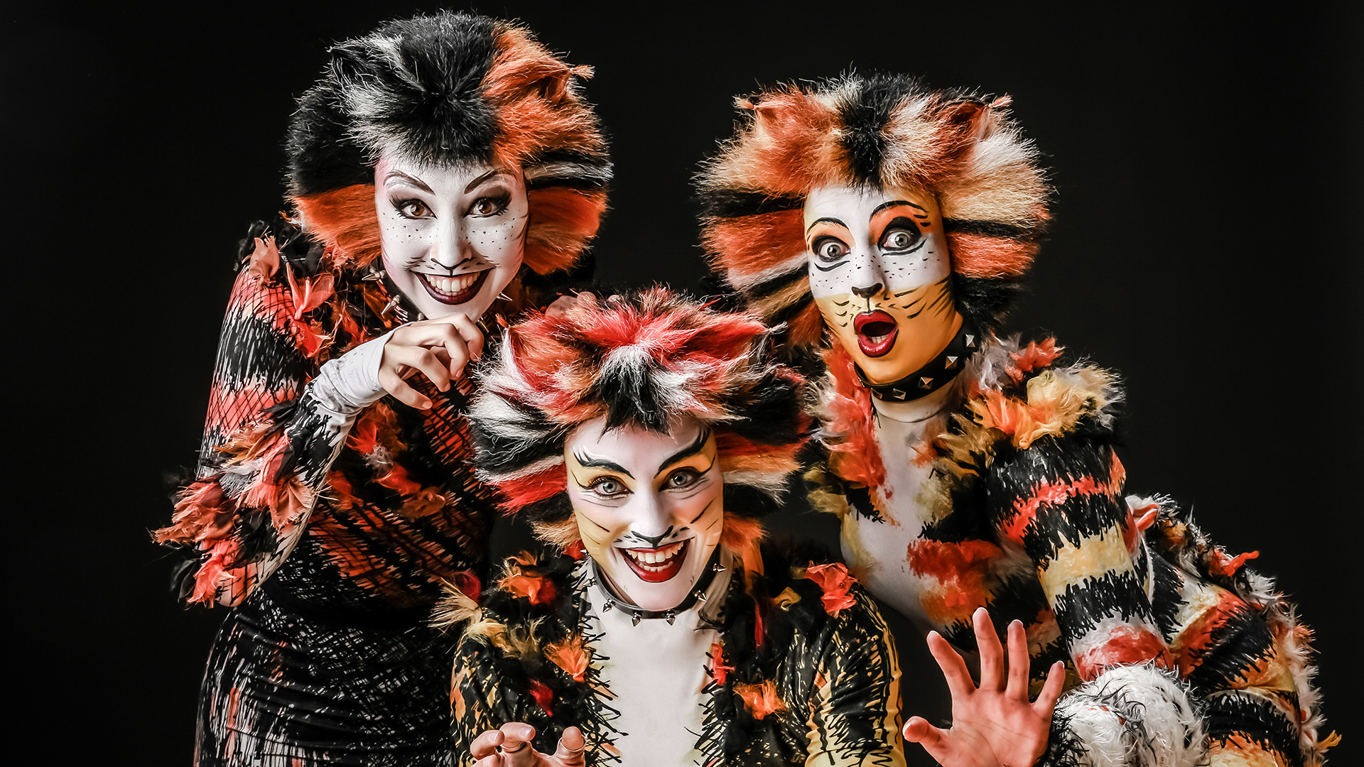 Musical Dinner Erkrath