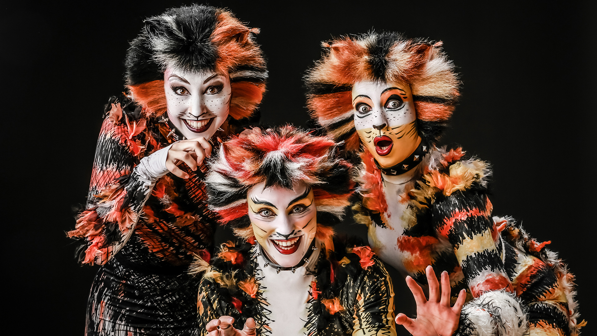 Musical Dinner Wuppertal