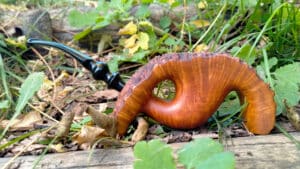 Pfeifen bauen Wintzenbach