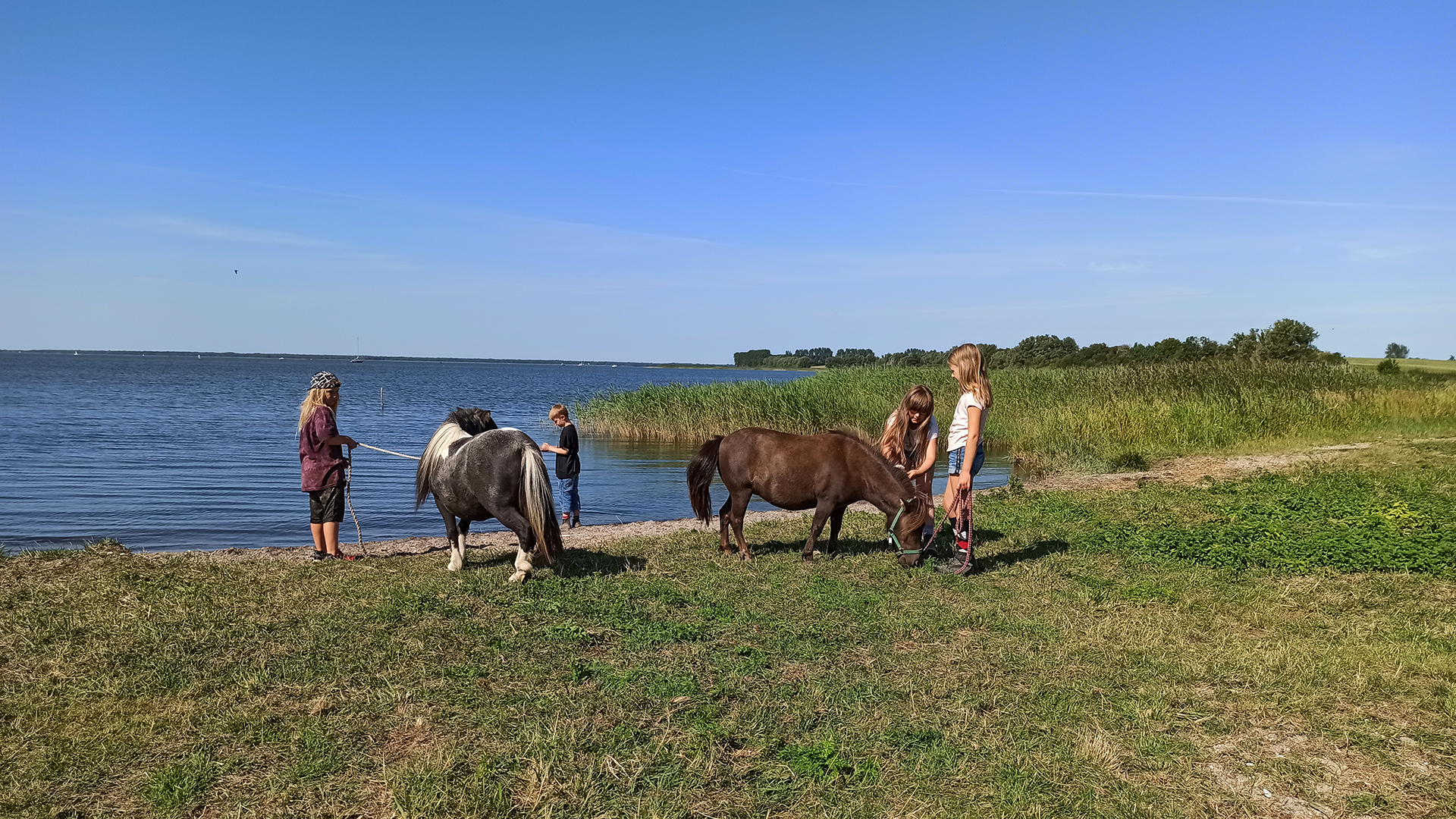 Pony Spaziergang Hirschburg