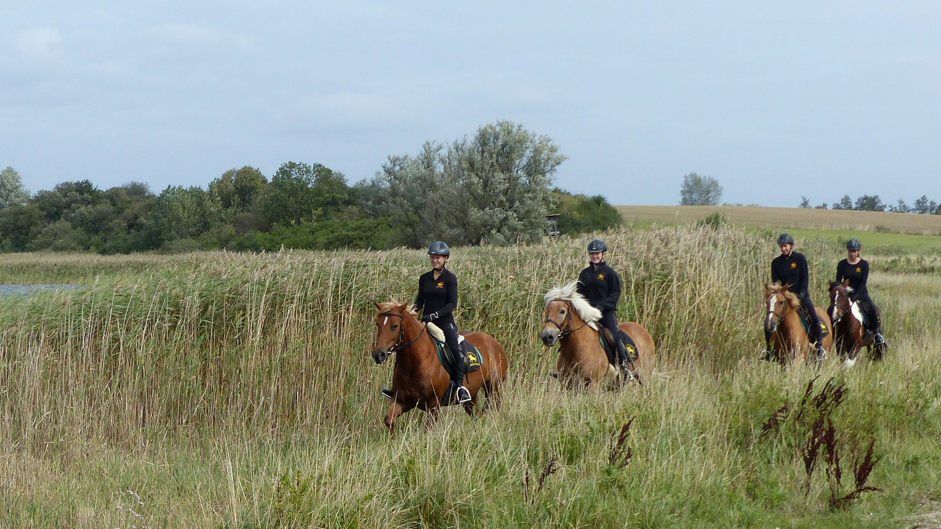 Rennreiten für Einsteiger Bad Doberan