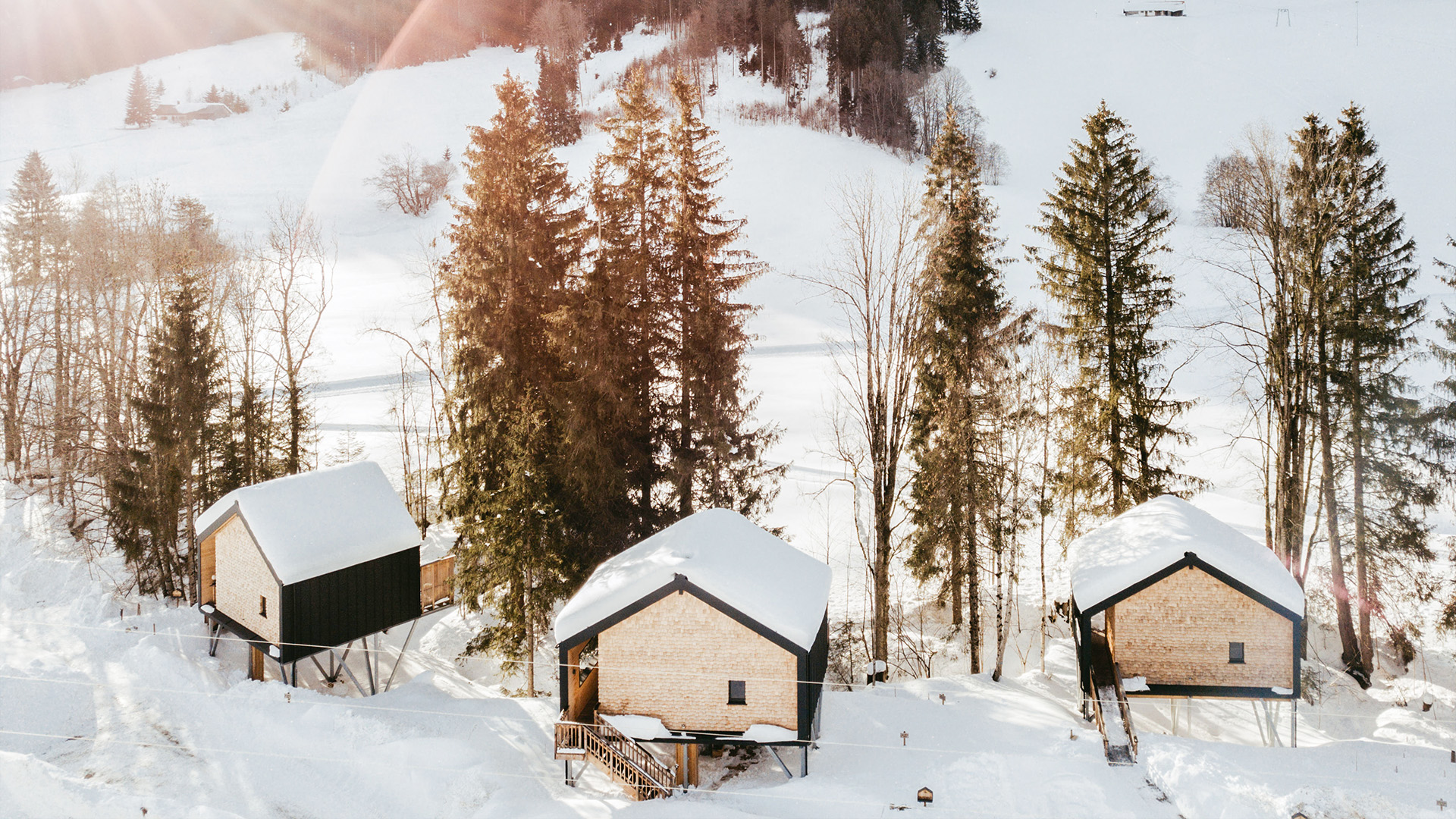 Romantikurlaub im Baumhaus Chalet für 2 (1 Nacht)