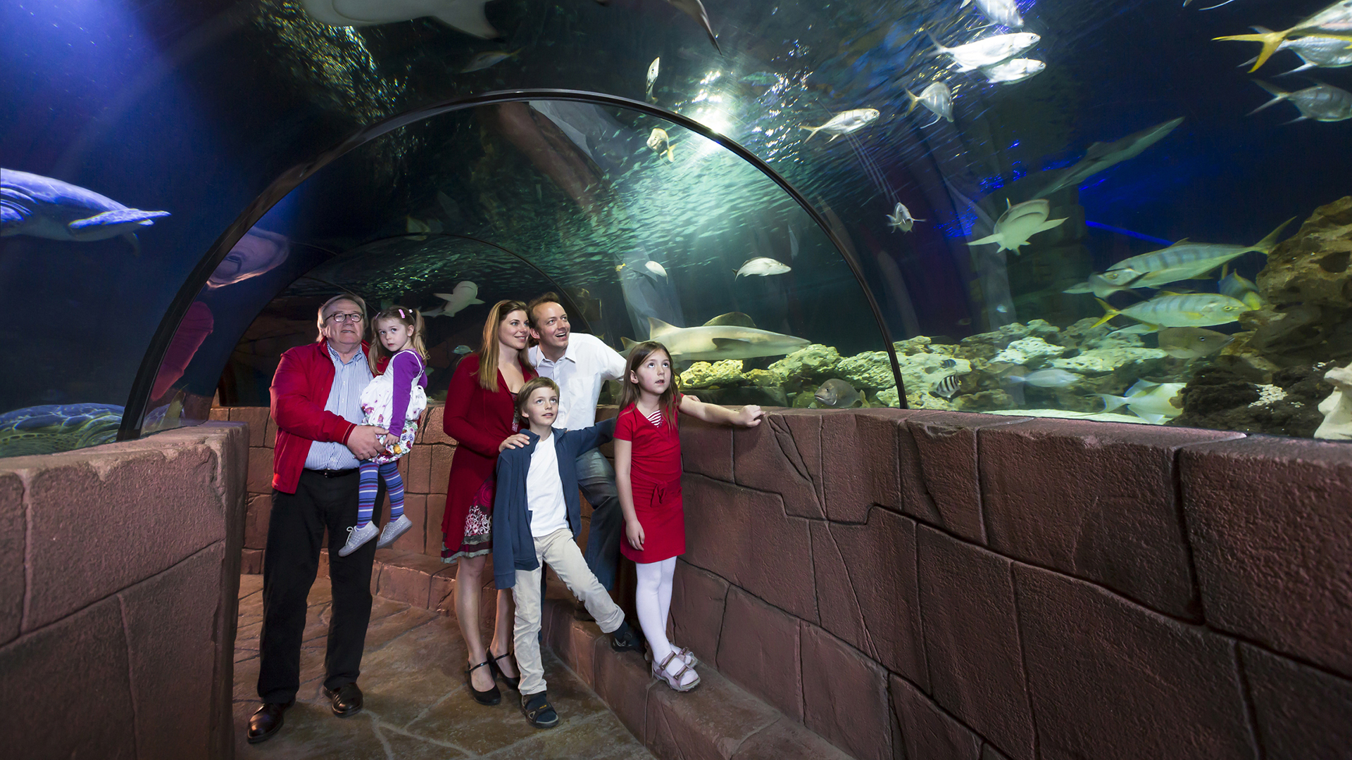 Sea Life Hannover (Kinder-Ticket)